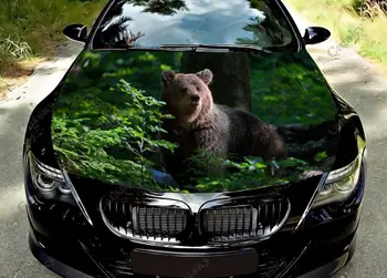 Лесной Медведь Животные Цветная Виниловая наклейка на капот автомобиля, Наклейка на капот грузовика, Графические Наклейки для украшения автомобиля на заказ